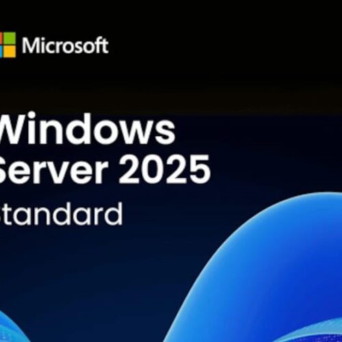 Windows Server 2025 License