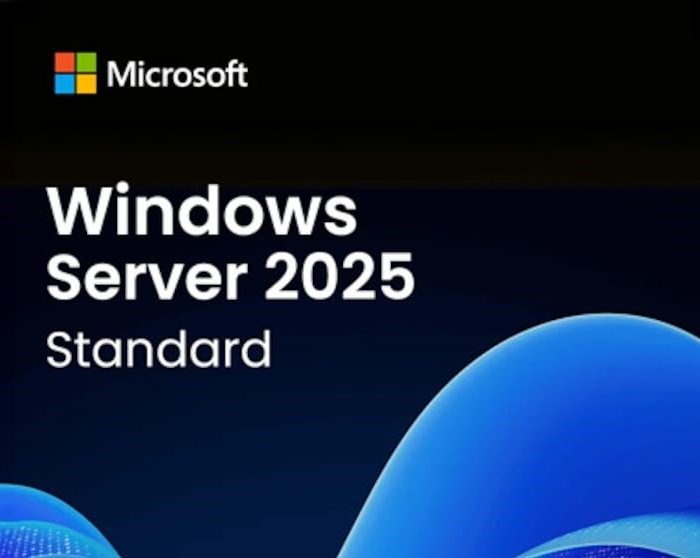 Windows Server 2025 License