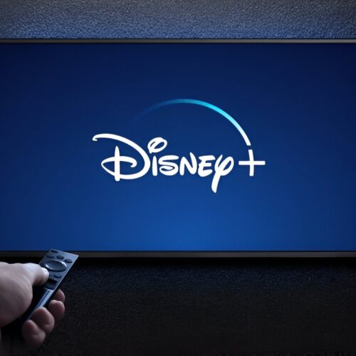 Disney Plus Subscription