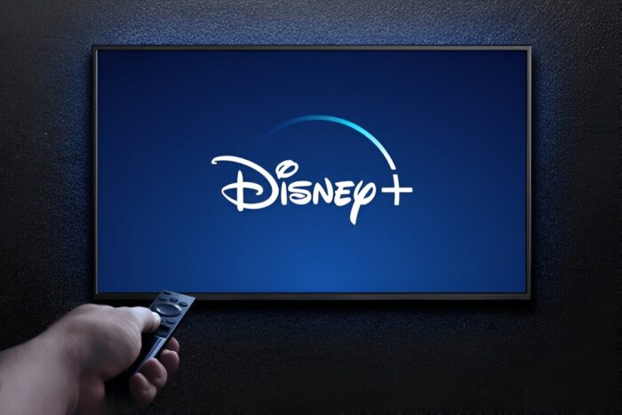 Disney Plus Subscription